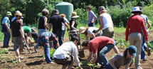 Intensive Organic Gardening workshop image